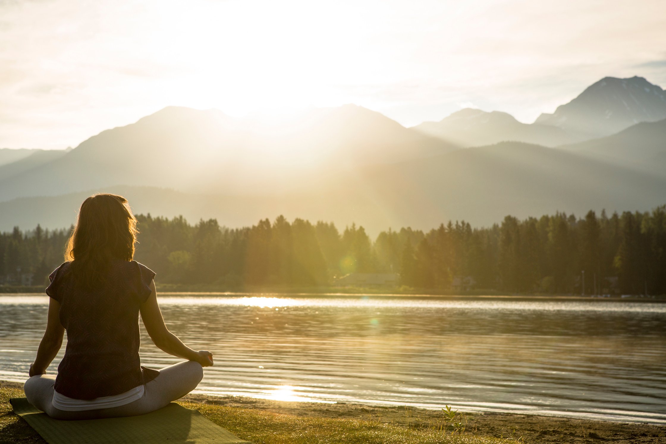 Soaking in energy in morning sun.